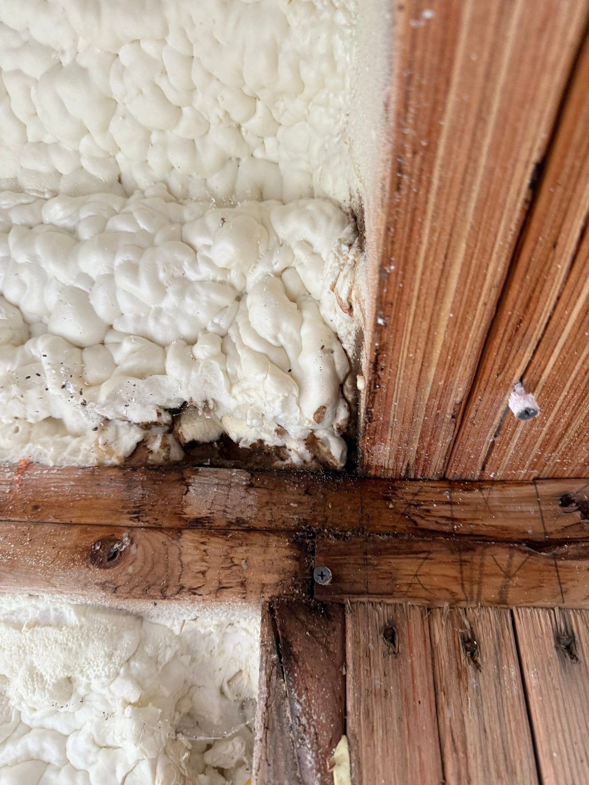 Close-up of moisture staining and debris at a framing joint behind spray foam insulation in an Austin home