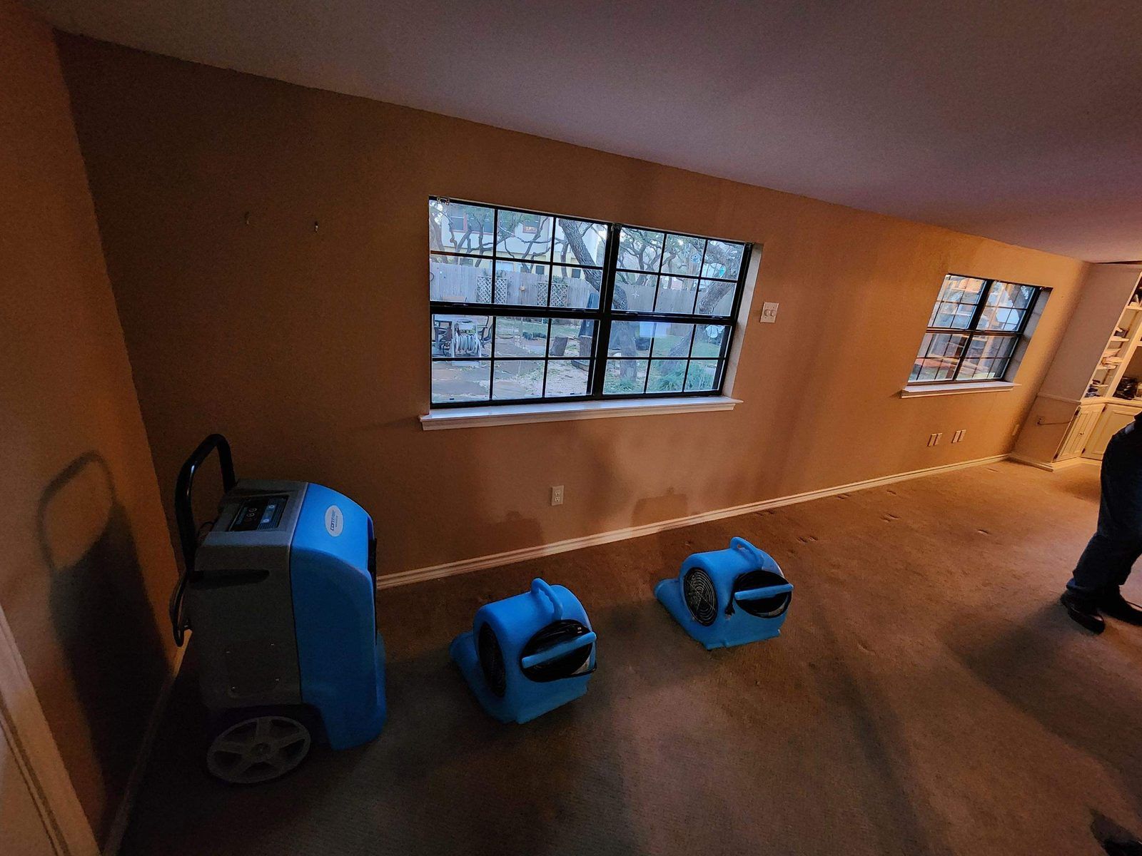 Commercial dehumidifier and two air movers running on carpet during structural drying in an Austin home, with water staining visible along the base of the wall